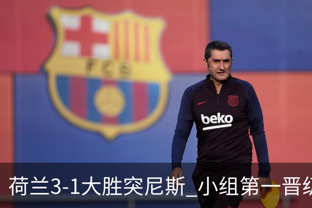 荷兰3-1大胜突尼斯 小组第一晋级淘汰赛将战摩洛哥
